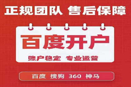 案例分析：SEM广告助力电商行业突破